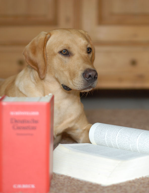 Kanzlei Kristina Trahms